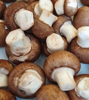 Funghi prataioli coltivati