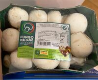 Funghi prataioli coltivati