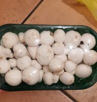 Funghi Prataioli Coltivati