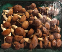 Funghi