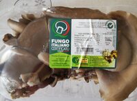 Funghi coltivati pleurotus