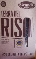 Terra del riso