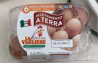 Uova fresche