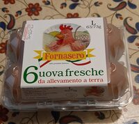 Uova fresche