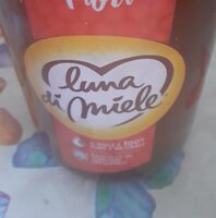 Luna di miele
