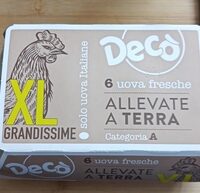 Uova fresche