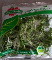 Rucola