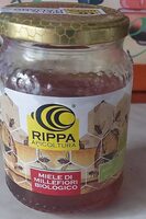 Rippa apicoltura
