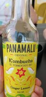 Kombucha té fermentato Bio