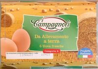 Uova da allevamento a terra