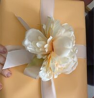 Colomba