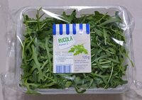 Rucola