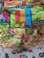 Insalata Mista 4 Stagioni Julienne