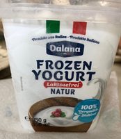 Frozen Yogurt