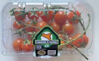 Pomodoro di Pachino