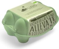 Uova medie fresche biologiche