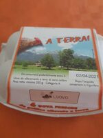 Uova fresche da galline allevate a terra