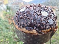 Panettone al cioccolato