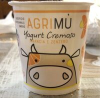 Yogurt cremoso arancia e zenzero