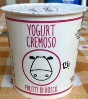 Yogurt cremoso frutti di bosco