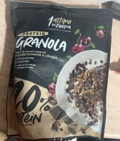 Protein granola
