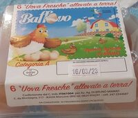 Uova allevate a terra