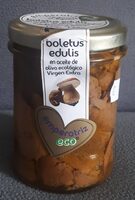 Boletus edulis