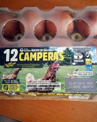 Huevos de gallinas camperas