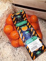 Mandarine Clemenvilla
