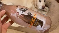 Batido de cacao
