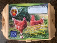 Huevos Camperos
