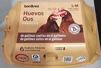 Huevos frescos