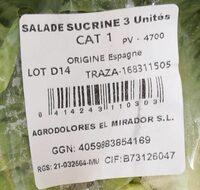 Salade sucrine