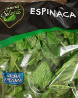 Espinaca huerta Selecta