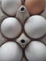 Huevos
