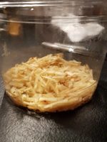 Chips Croustillantes