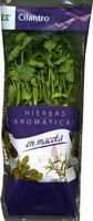 Maceta de cilantro