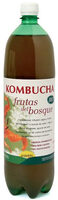 Kombucha grano vita