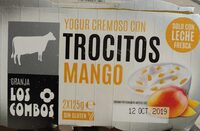 Yogur cremoso con trocitos