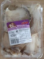Setas cultivadas