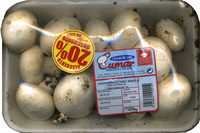 Champiñon cultivado