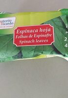 Espinaca hoja