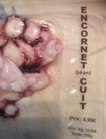 Encornet geant cuit coupe
