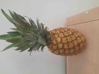 Piña Tropical Extra Dulce