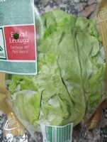 Lechuga