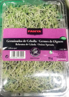 Germinados de cebolla