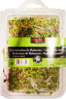 Germinados de rabanito