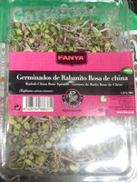 Germinados de rabanito rosa de China