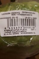 Lechuga iceberg