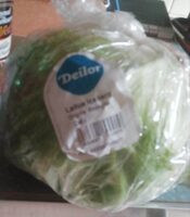 Laitue Iceberg
